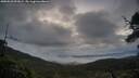 ./images/calvert/fitz-hugh-hecate/20250526/fitz-hugh-hecate20250526_053009M.jpg