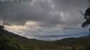 ./images/calvert/fitz-hugh-hecate/20250526/fitz-hugh-hecate20250526_054008M.jpg
