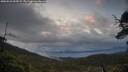 ./images/calvert/fitz-hugh-hecate/20250526/fitz-hugh-hecate20250526_054509M.jpg