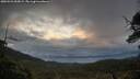 ./images/calvert/fitz-hugh-hecate/20250526/fitz-hugh-hecate20250526_055009M.jpg