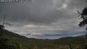 ./images/calvert/fitz-hugh-hecate/20250526/fitz-hugh-hecate20250526_055508M.jpg