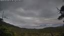 ./images/calvert/fitz-hugh-hecate/20250526/fitz-hugh-hecate20250526_060506M.jpg