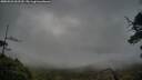 ./images/calvert/fitz-hugh-hecate/20250526/fitz-hugh-hecate20250526_062510M.jpg