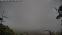 ./images/calvert/fitz-hugh-hecate/20250526/fitz-hugh-hecate20250526_063509M.jpg
