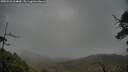 ./images/calvert/fitz-hugh-hecate/20250526/fitz-hugh-hecate20250526_064010M.jpg