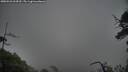 ./images/calvert/fitz-hugh-hecate/20250526/fitz-hugh-hecate20250526_064510M.jpg