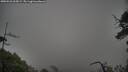 ./images/calvert/fitz-hugh-hecate/20250526/fitz-hugh-hecate20250526_065009M.jpg