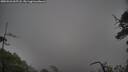 ./images/calvert/fitz-hugh-hecate/20250526/fitz-hugh-hecate20250526_065508M.jpg