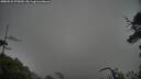 ./images/calvert/fitz-hugh-hecate/20250526/fitz-hugh-hecate20250526_070010M.jpg