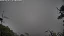./images/calvert/fitz-hugh-hecate/20250526/fitz-hugh-hecate20250526_071007M.jpg