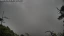 ./images/calvert/fitz-hugh-hecate/20250526/fitz-hugh-hecate20250526_072510M.jpg