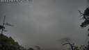 ./images/calvert/fitz-hugh-hecate/20250526/fitz-hugh-hecate20250526_073009M.jpg