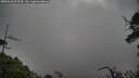 ./images/calvert/fitz-hugh-hecate/20250526/fitz-hugh-hecate20250526_073509M.jpg