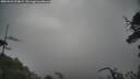 ./images/calvert/fitz-hugh-hecate/20250526/fitz-hugh-hecate20250526_074009M.jpg