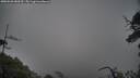 ./images/calvert/fitz-hugh-hecate/20250526/fitz-hugh-hecate20250526_080509M.jpg