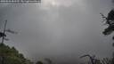 ./images/calvert/fitz-hugh-hecate/20250526/fitz-hugh-hecate20250526_083510M.jpg