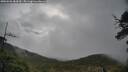 ./images/calvert/fitz-hugh-hecate/20250526/fitz-hugh-hecate20250526_084510M.jpg