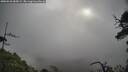./images/calvert/fitz-hugh-hecate/20250526/fitz-hugh-hecate20250526_085009M.jpg