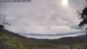 ./images/calvert/fitz-hugh-hecate/20250526/fitz-hugh-hecate20250526_094010M.jpg