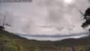 ./images/calvert/fitz-hugh-hecate/20250526/fitz-hugh-hecate20250526_094510M.jpg