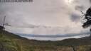 ./images/calvert/fitz-hugh-hecate/20250526/fitz-hugh-hecate20250526_095010M.jpg
