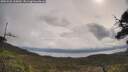 ./images/calvert/fitz-hugh-hecate/20250526/fitz-hugh-hecate20250526_100010M.jpg