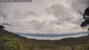 ./images/calvert/fitz-hugh-hecate/20250526/fitz-hugh-hecate20250526_100508M.jpg