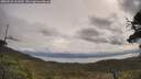 ./images/calvert/fitz-hugh-hecate/20250526/fitz-hugh-hecate20250526_101010M.jpg