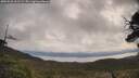 ./images/calvert/fitz-hugh-hecate/20250526/fitz-hugh-hecate20250526_101509M.jpg