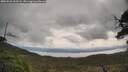./images/calvert/fitz-hugh-hecate/20250526/fitz-hugh-hecate20250526_102507M.jpg