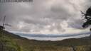 ./images/calvert/fitz-hugh-hecate/20250526/fitz-hugh-hecate20250526_103010M.jpg