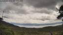 ./images/calvert/fitz-hugh-hecate/20250526/fitz-hugh-hecate20250526_104509M.jpg