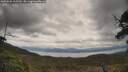 ./images/calvert/fitz-hugh-hecate/20250526/fitz-hugh-hecate20250526_105509M.jpg