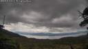 ./images/calvert/fitz-hugh-hecate/20250526/fitz-hugh-hecate20250526_110506M.jpg