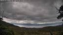 ./images/calvert/fitz-hugh-hecate/20250526/fitz-hugh-hecate20250526_111009M.jpg