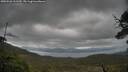 ./images/calvert/fitz-hugh-hecate/20250526/fitz-hugh-hecate20250526_111510M.jpg