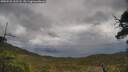 ./images/calvert/fitz-hugh-hecate/20250526/fitz-hugh-hecate20250526_112507M.jpg