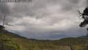 ./images/calvert/fitz-hugh-hecate/20250526/fitz-hugh-hecate20250526_113009M.jpg