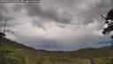 ./images/calvert/fitz-hugh-hecate/20250526/fitz-hugh-hecate20250526_113510M.jpg