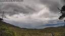 ./images/calvert/fitz-hugh-hecate/20250526/fitz-hugh-hecate20250526_114009M.jpg