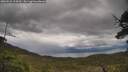./images/calvert/fitz-hugh-hecate/20250526/fitz-hugh-hecate20250526_114510M.jpg