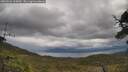 ./images/calvert/fitz-hugh-hecate/20250526/fitz-hugh-hecate20250526_115010M.jpg