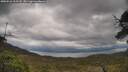 ./images/calvert/fitz-hugh-hecate/20250526/fitz-hugh-hecate20250526_115508M.jpg