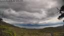 ./images/calvert/fitz-hugh-hecate/20250526/fitz-hugh-hecate20250526_120509M.jpg