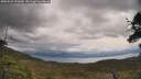 ./images/calvert/fitz-hugh-hecate/20250526/fitz-hugh-hecate20250526_121009M.jpg