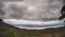 ./images/calvert/fitz-hugh-hecate/20250526/fitz-hugh-hecate20250526_122505M.jpg