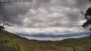 ./images/calvert/fitz-hugh-hecate/20250526/fitz-hugh-hecate20250526_124009M.jpg