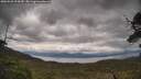 ./images/calvert/fitz-hugh-hecate/20250526/fitz-hugh-hecate20250526_124510M.jpg
