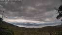 ./images/calvert/fitz-hugh-hecate/20250526/fitz-hugh-hecate20250526_125008M.jpg