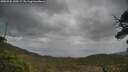 ./images/calvert/fitz-hugh-hecate/20250526/fitz-hugh-hecate20250526_130509M.jpg